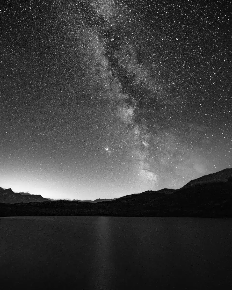 Kurioz-Gallery-Rene-Schaedler-Jaco