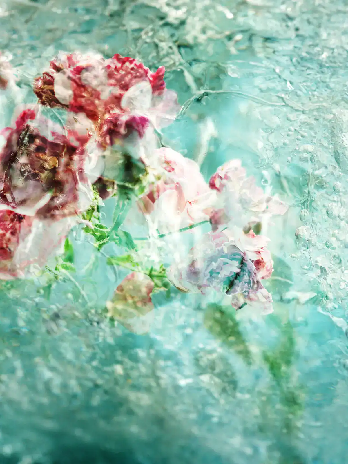 Kurioz-Gallery-Sandra-Wiest_Frozen-in-time-No-2_m