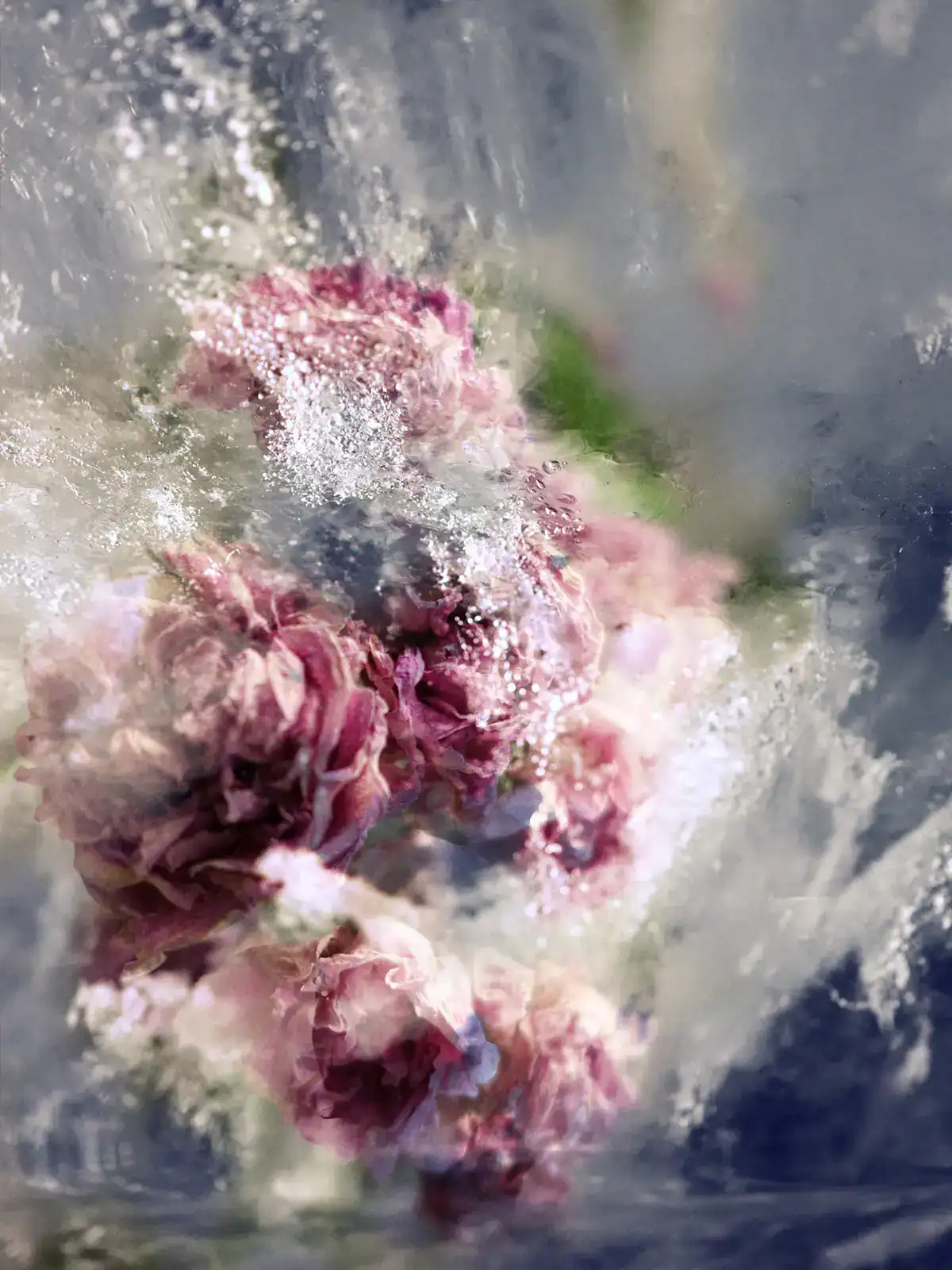 Kurioz-Gallery-Sandra-Wiest_extract-No-9_m