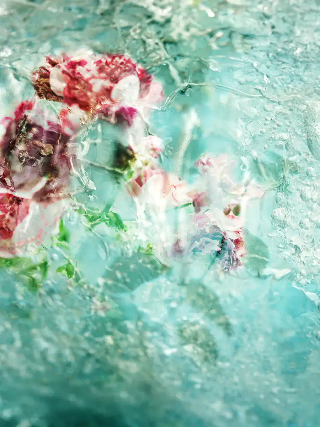 Kurioz-Gallery-Sandra-Wiest_img_Frozen-in-time-No-2_m